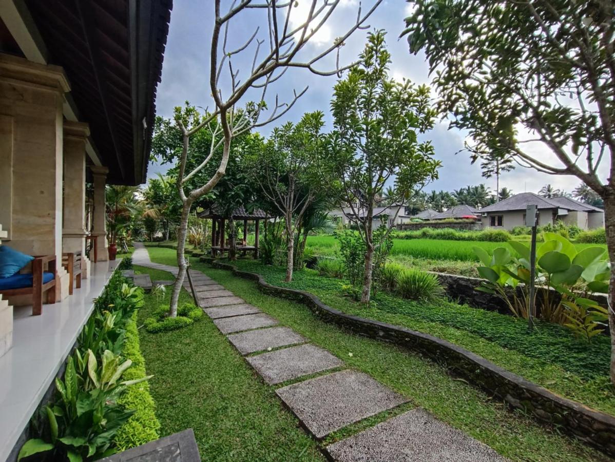 Masia Holiday park 4*