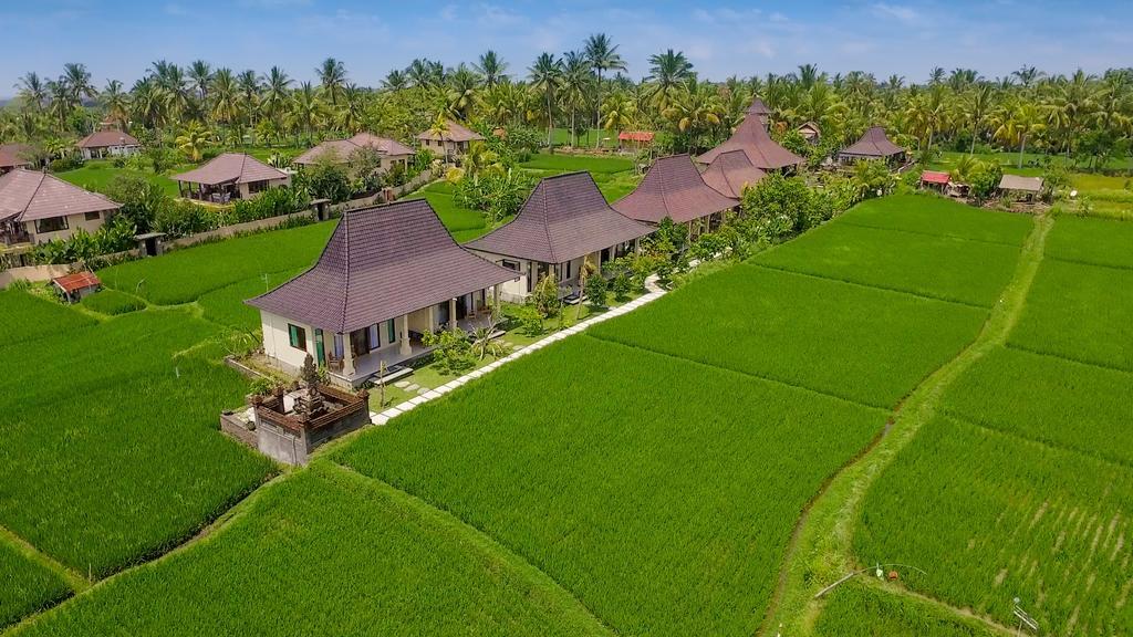 Masia Ubud
